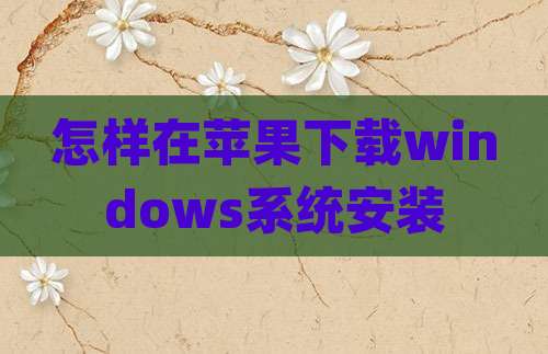 怎样在苹果下载windows系统安装