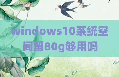 windows10系统空间留80g够用吗