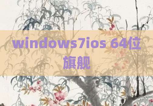 windows7ios 64位旗舰