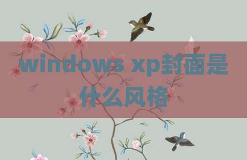 windows xp封面是什么风格