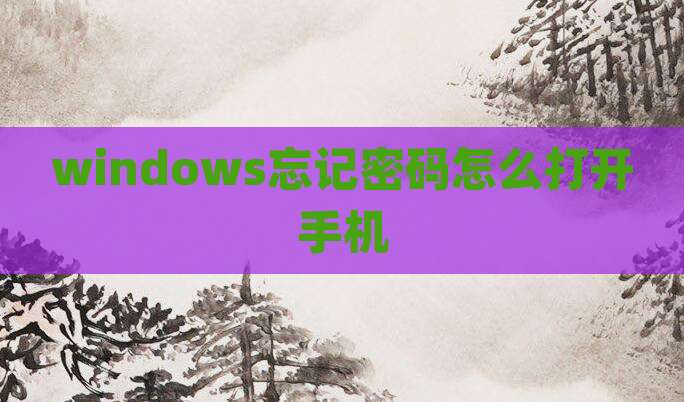 windows忘记密码怎么打开手机