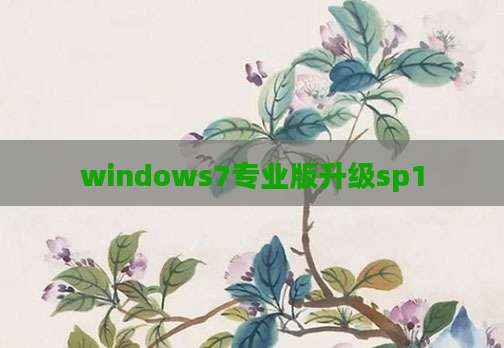 windows7专业版升级sp1