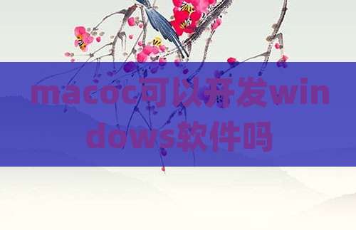 macoc可以开发windows软件吗