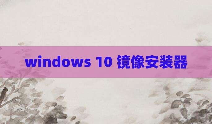 windows 10 镜像安装器