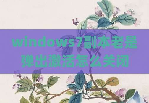 windows7副本老是弹出激活怎么关闭