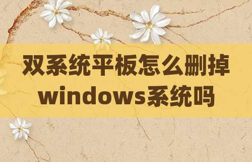 双系统平板怎么删掉windows系统吗
