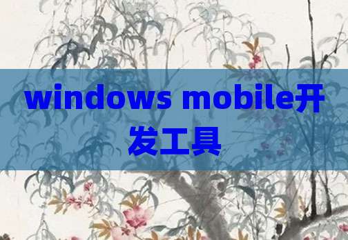windows mobile开发工具