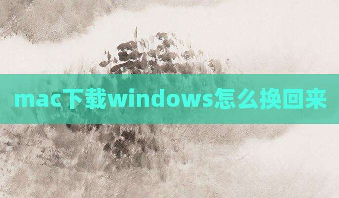 mac下载windows怎么换回来