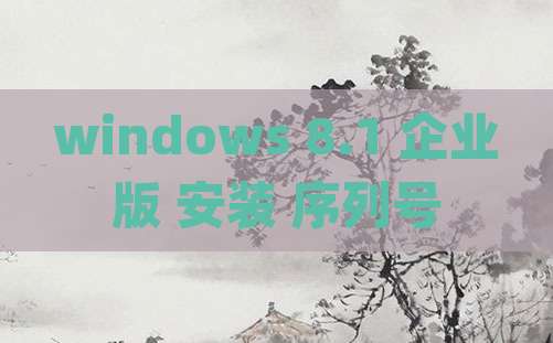 windows 8.1 企业版 安装 序列号