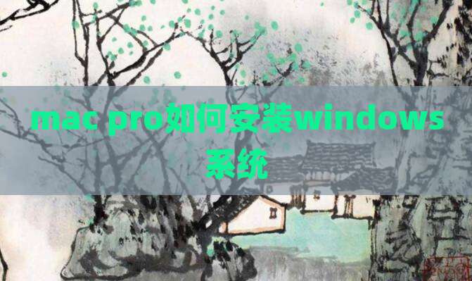mac pro如何安装windows系统