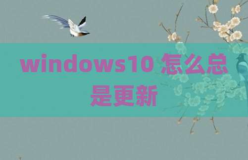 windows10 怎么总是更新
