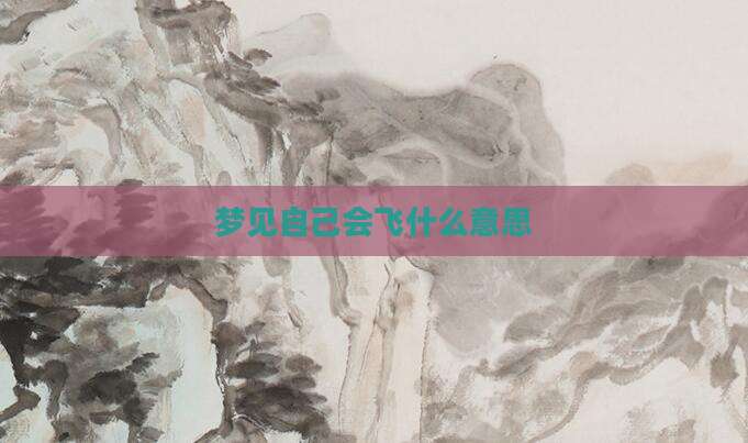 梦见自己会飞什么意思