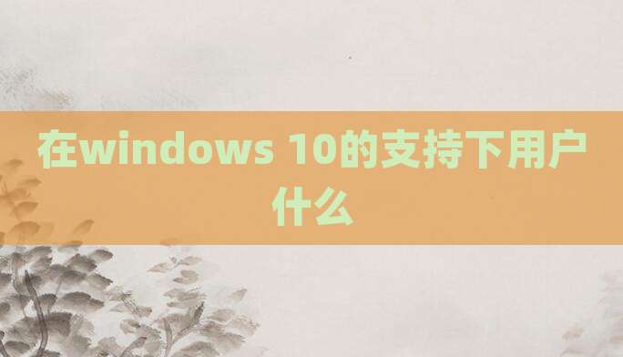 在windows 10的支持下用户什么