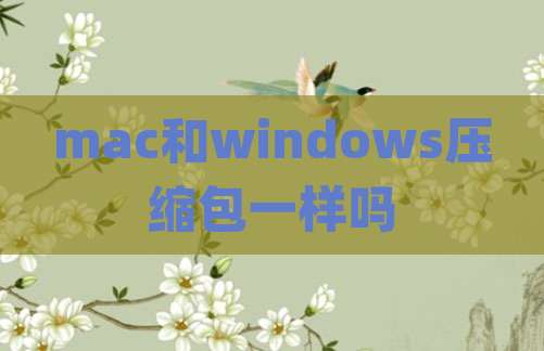 mac和windows压缩包一样吗