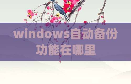 windows自动备份功能在哪里