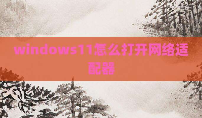 windows11怎么打开网络适配器