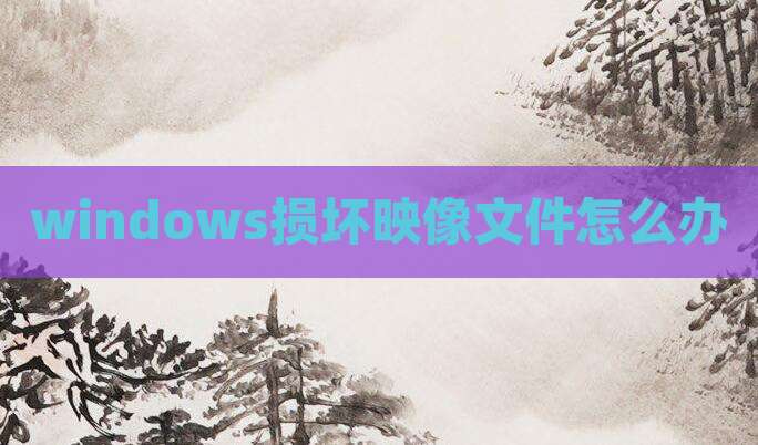 windows损坏映像文件怎么办