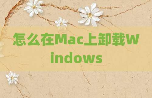 怎么在Mac上卸载Windows