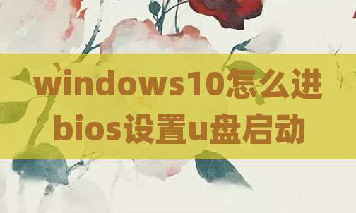 windows10怎么进bios设置u盘启动