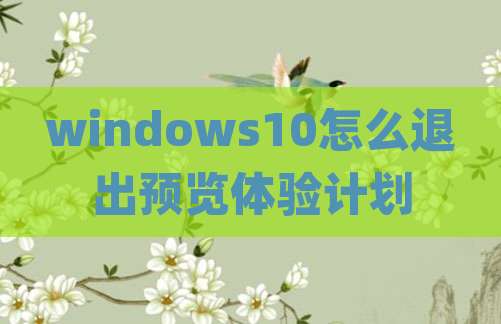 windows10怎么退出预览体验计划