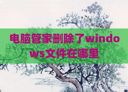 电脑管家删除了windows文件在哪里