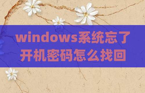 windows系统忘了开机密码怎么找回