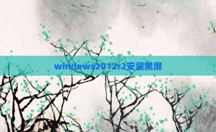 windows2012r2安装黑屏