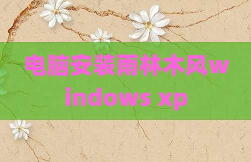 电脑安装雨林木风windows xp