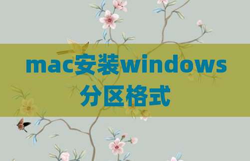 mac安装windows分区格式