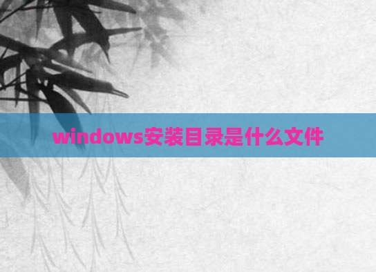windows安装目录是什么文件