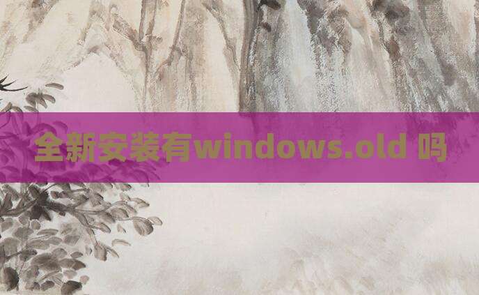全新安装有windows.old 吗