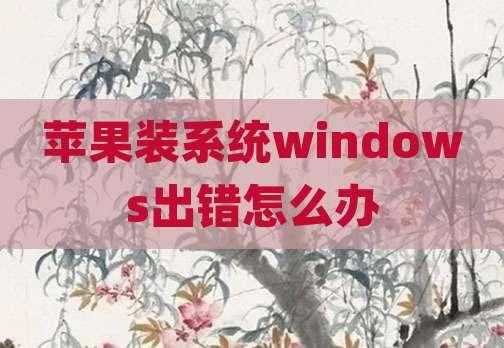 苹果装系统windows出错怎么办