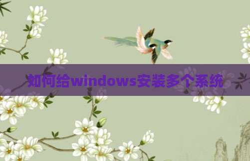 如何给windows安装多个系统