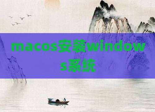 macos安装windows系统