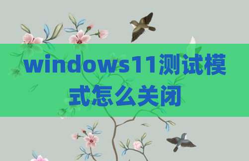 windows11测试模式怎么关闭