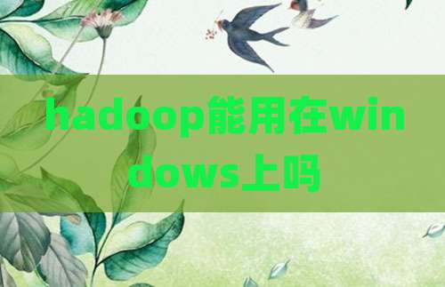 hadoop能用在windows上吗