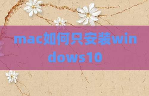 mac如何只安装windows10