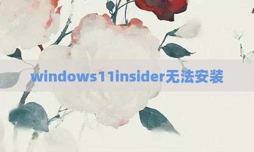 windows11insider无法安装
