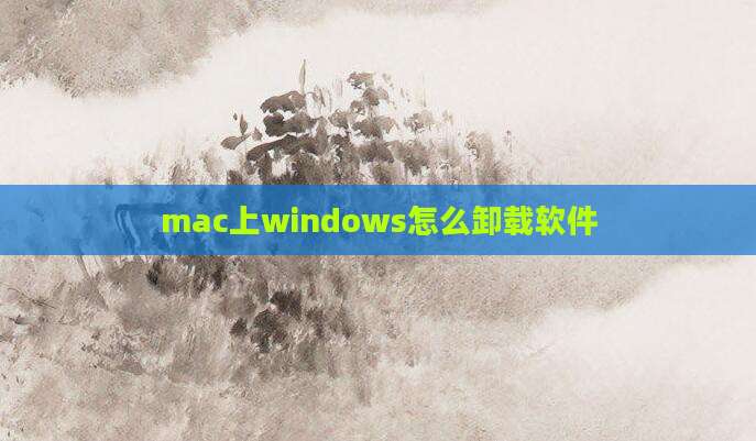 mac上windows怎么卸载软件