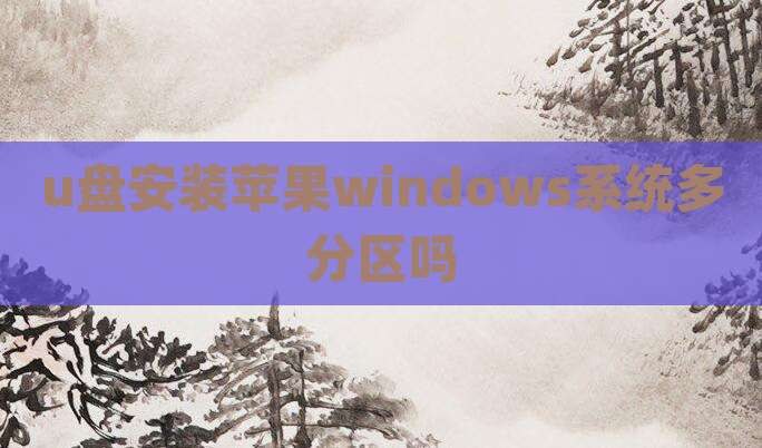 u盘安装苹果windows系统多分区吗
