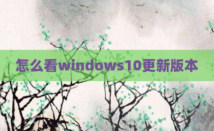 怎么看windows10更新版本
