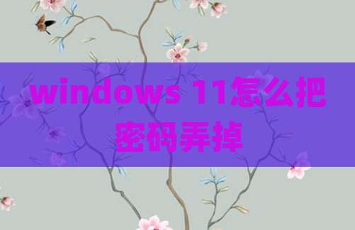 windows 11怎么把密码弄掉