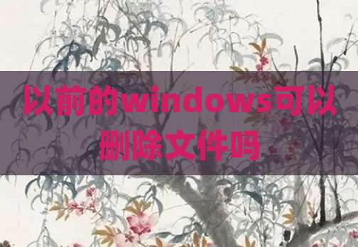 以前的windows可以删除文件吗