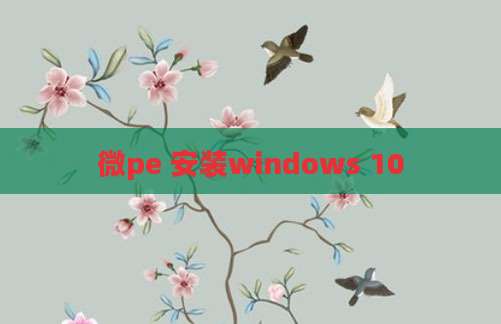 微pe 安装windows 10