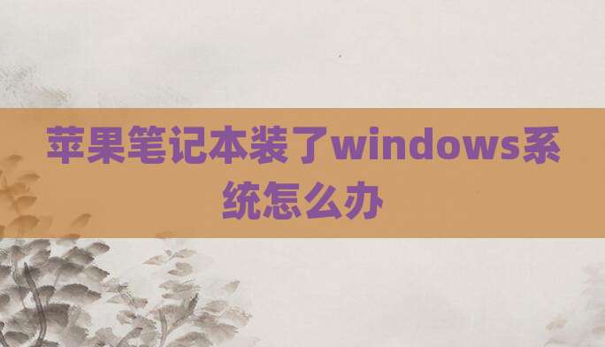 苹果笔记本装了windows系统怎么办