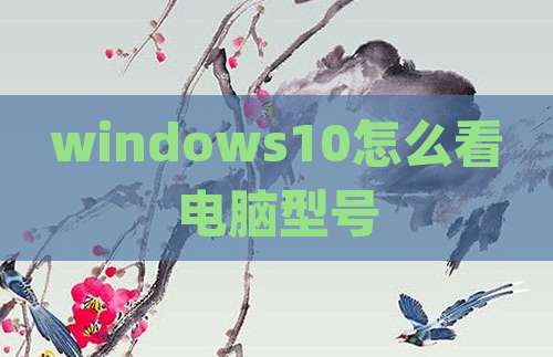 windows10怎么看电脑型号