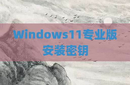 Windows11专业版安装密钥