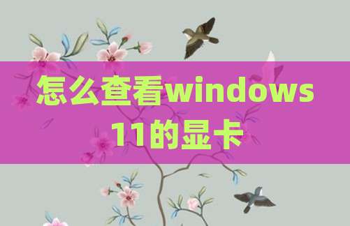 怎么查看windows11的显卡