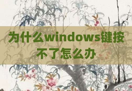 为什么windows键按不了怎么办