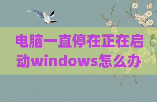 电脑一直停在正在启动windows怎么办